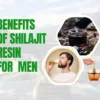 Shilajit Resin Benefits for Men