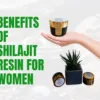Shilajit Resin Benefits for Women
